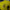 Dortmund 2026/2027 version manches longues