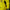 Dortmund 2026/2027 version manches longues