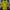 Dortmund 2026/2027 version manches longues