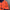 Maillot Barça Extérieur – Officiel