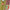 Maillot Extérieur Mali 2025-2026