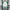 Betis Seville 2026/2027