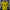 Dortmund 2026/2027 version manches longues